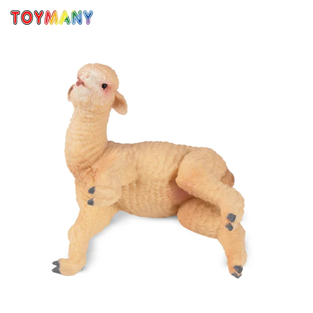 Toymany Simulation Lying Alpaca Baby Wildlife Animal Model Toy Mini Figures Dolls Action Figurines Toys Children Gift
Toymany Simulation Lying Alpaca Baby Wildlife Animal Model Toy Mini Figures Dolls Action Figurines Toys Children Gift