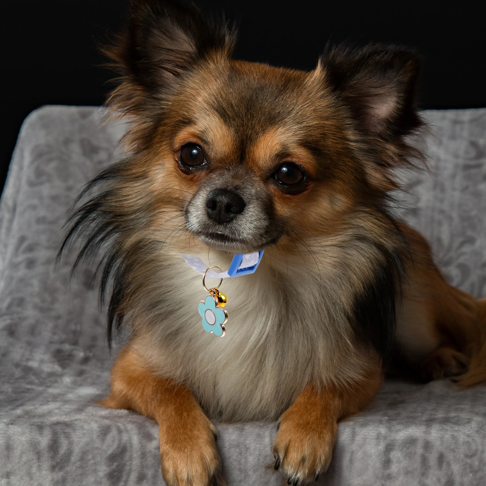 Pet Collar Soft Cat Dog for Puppies Girl Puppy Collars Cats Cartoon with Bell Cute Small Dogs
Pet Collar Soft Cat Dog for Puppies Girl Puppy Collars Cats Cartoon with Bell Cute Small Dogs