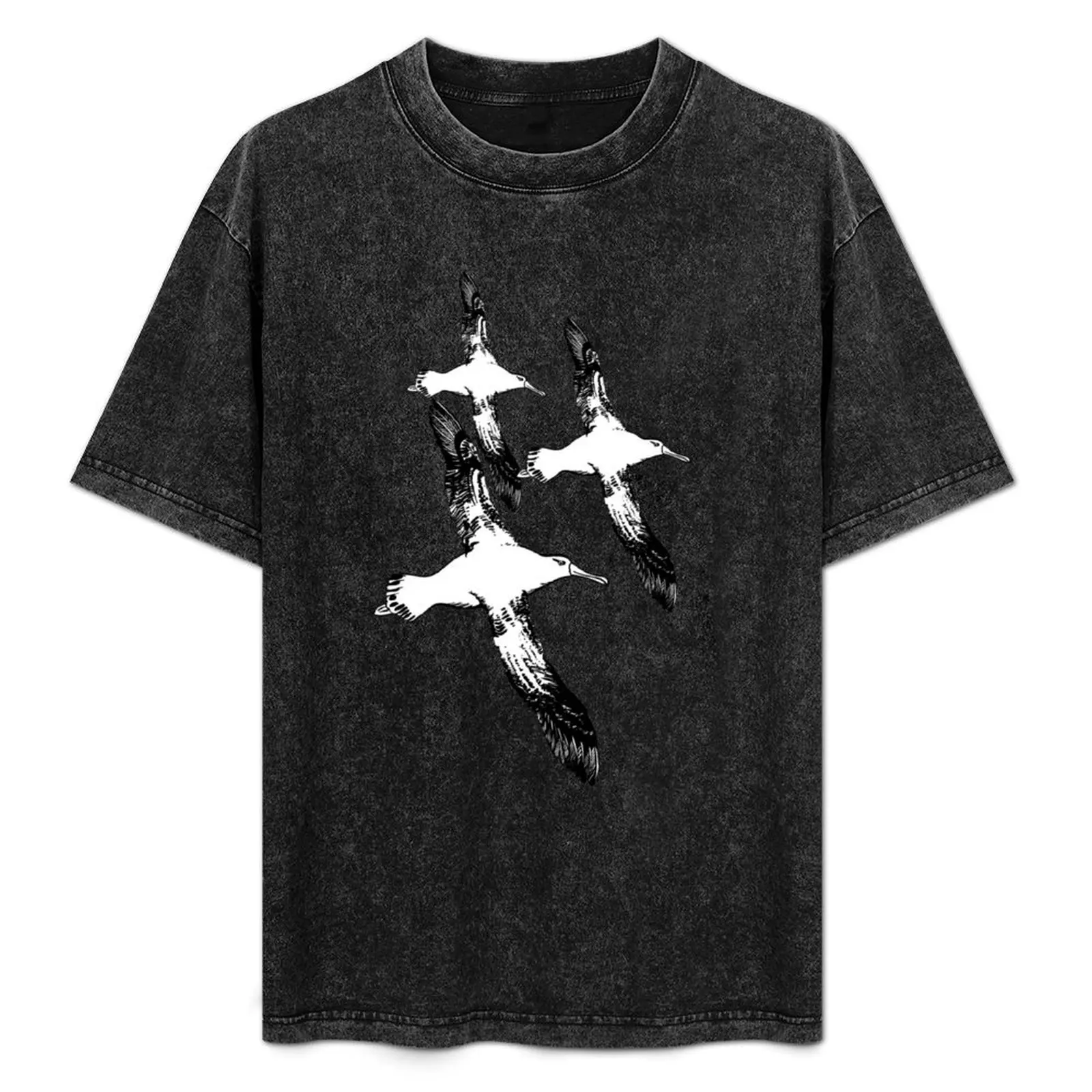 A Trio of Wandering Albatross T-Shirt Lightweight Basic Short Sleeve Shirt
A Trio of Wandering Albatross T-Shirt Lightweight Basic Short Sleeve Shirt
