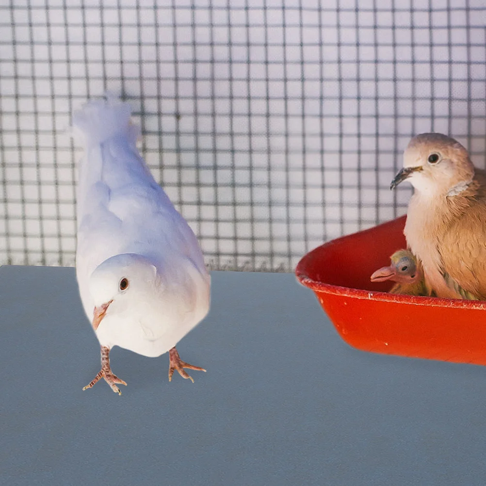 10 Sheets Bird Cage Sandpaper Liners Silicon Carbide Durable Parrot Cage Pad Bird Claw Beak Trimming Mat Pet Supply
10 Sheets Bird Cage Sandpaper Liners Silicon Carbide Durable Parrot Cage Pad Bird Claw Beak Trimming Mat Pet Supply