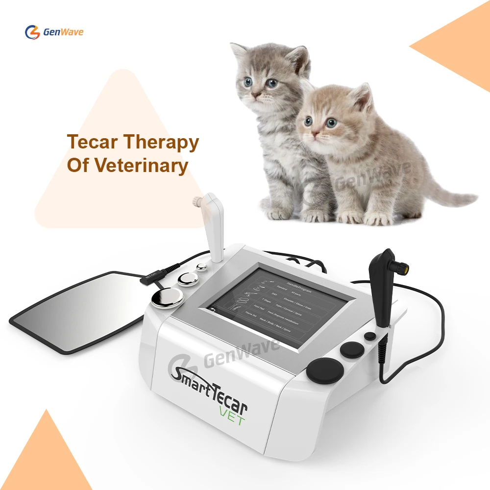 Portable RF Therapy Equine Device Horse Treatment Smart Tecar Vet Machine for Pain Relief
Portable RF Therapy Equine Device Horse Treatment Smart Tecar Vet Machine for Pain Relief