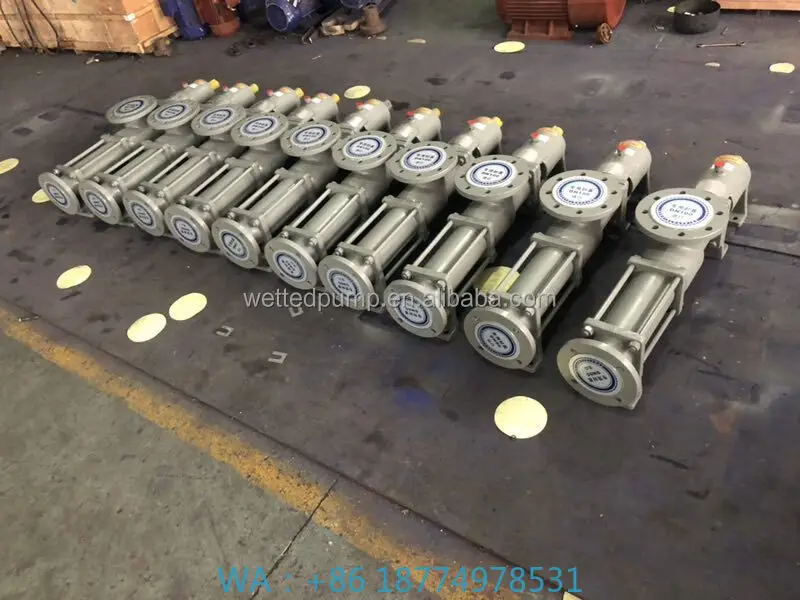 Phaft Pump for Mortar/slurry/sludge/mortarrogressive Screw Cavity Pumps Mono Hopper Axial Screw S
Phaft Pump for Mortar/slurry/sludge/mortarrogressive Screw Cavity Pumps Mono Hopper Axial Screw S