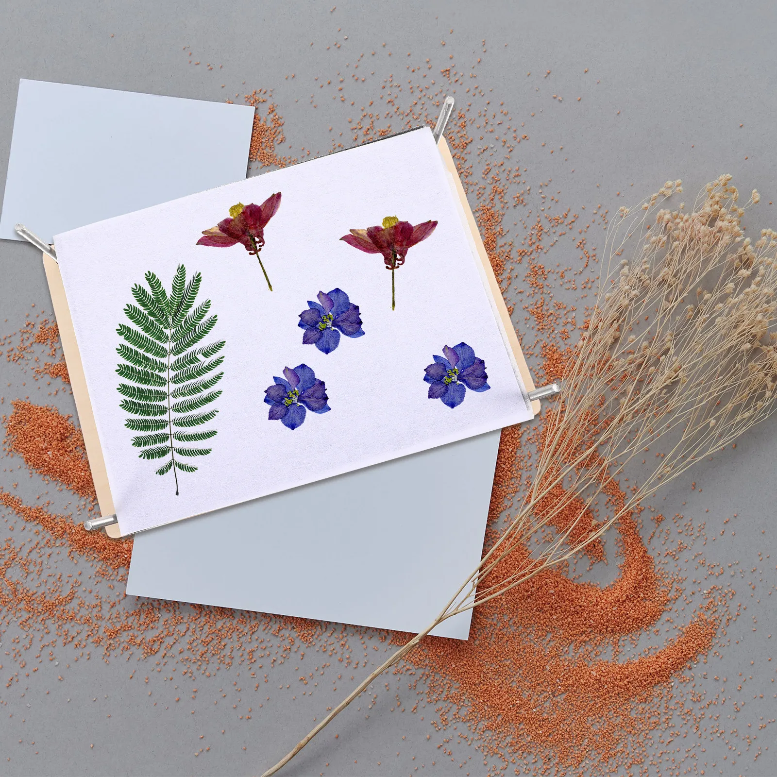 Flower Pressing Kit Plants Press Tool DIY Large Size C Version Leaf Press Set Dried Flowers Decor Paper Art Supplies
Flower Pressing Kit Plants Press Tool DIY Large Size C Version Leaf Press Set Dried Flowers Decor Paper Art Supplies
