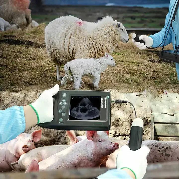 Factory!Veterinary Portable Livestock Ultrasound Machine Vet Ultrasound Scanner Convex Probe For Goat Pig Equine
Factory!Veterinary Portable Livestock Ultrasound Machine Vet Ultrasound Scanner Convex Probe For Goat Pig Equine