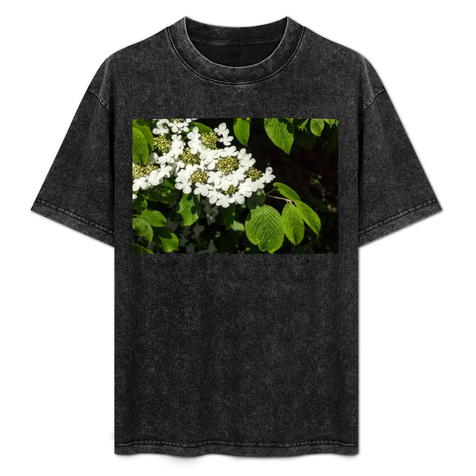 Lacecap Hortensia - Luminous White Blooms T-Shirt cheap stuff Luxury man tshirts for men
Lacecap Hortensia - Luminous White Blooms T-Shirt cheap stuff Luxury man tshirts for men