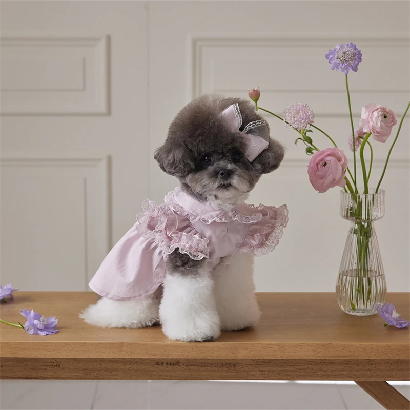 Pink Dog Dress Lace Ruffle Doll Collar Princess Dress for Small Dogs Girls Female Cat Dress Puppy Clothes
Pink Dog Dress Lace Ruffle Doll Collar Princess Dress for Small Dogs Girls Female Cat Dress Puppy Clothes