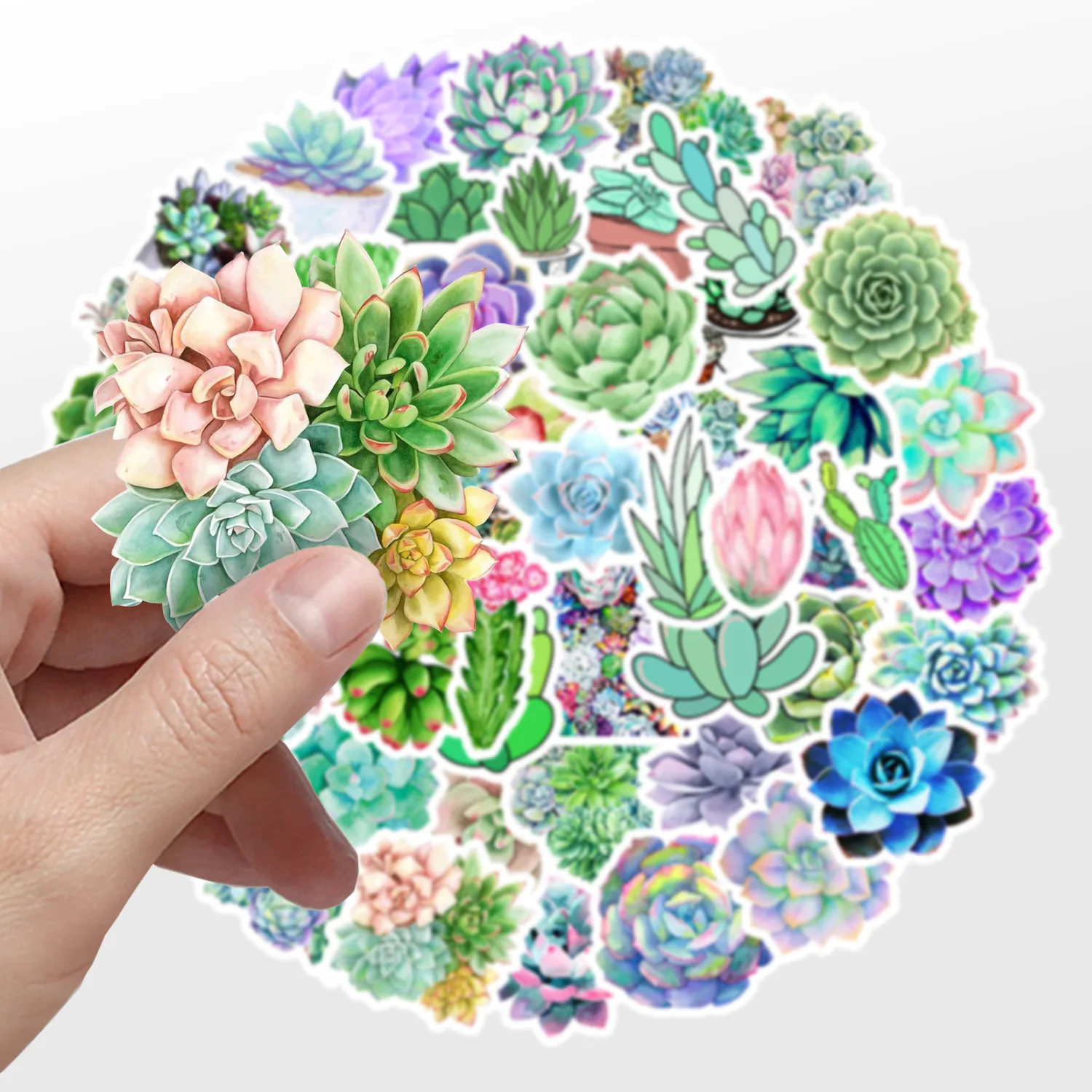 50Pcs 4-8cm Succulent-Plant Stickers For Laptop Phone Car Journal Cute Waterproof PVC Decals Self-Adhesive Scrapbooking Decor
50Pcs 4-8cm Succulent-Plant Stickers For Laptop Phone Car Journal Cute Waterproof PVC Decals Self-Adhesive Scrapbooking Decor