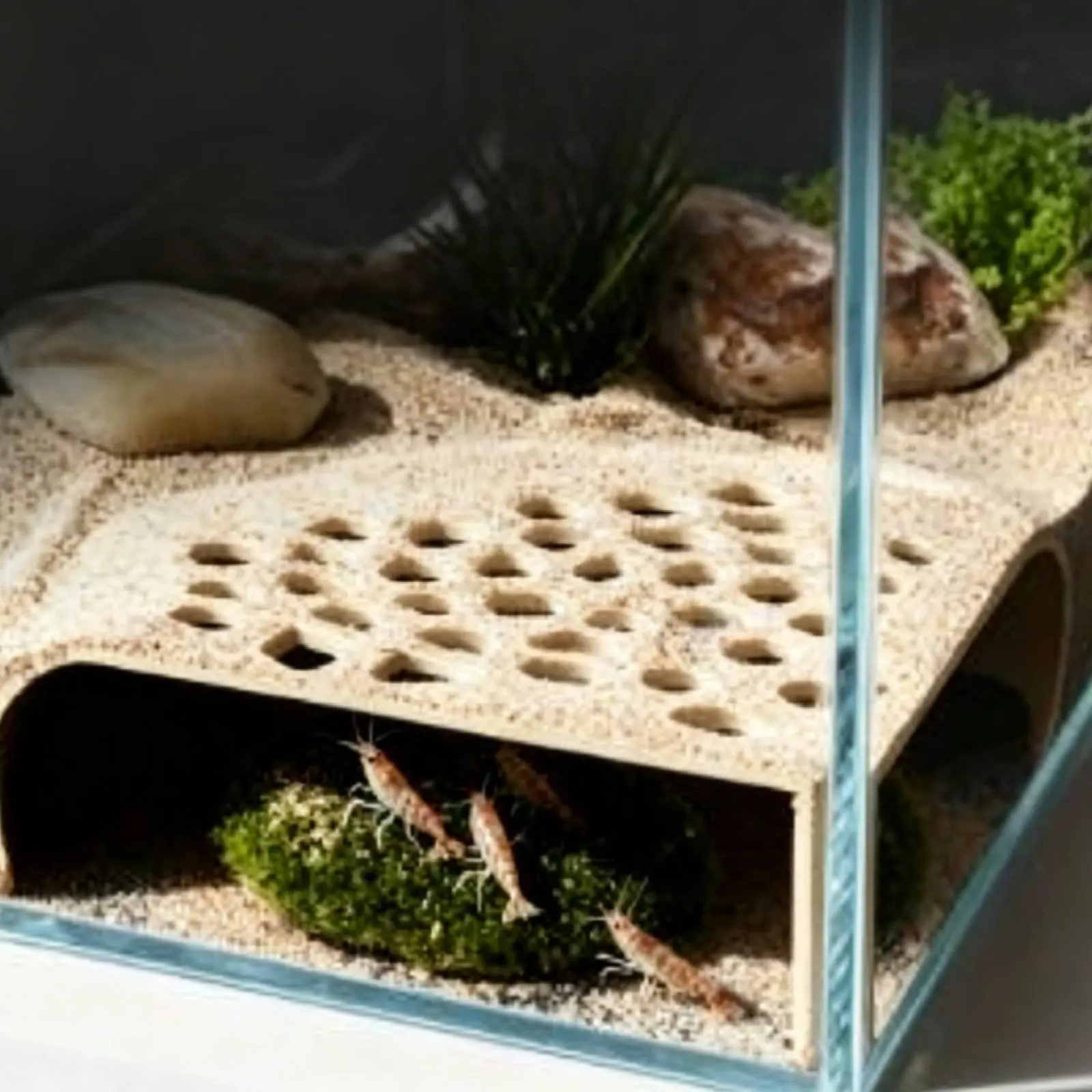 Aquatic Landscape Hiding Hideout Natural Look Aquatic Hideout Cave Crustacean Shelter Tunnel Easy Installation for Aquarists
Aquatic Landscape Hiding Hideout Natural Look Aquatic Hideout Cave Crustacean Shelter Tunnel Easy Installation for Aquarists