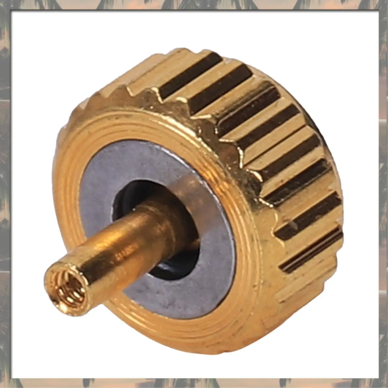 A70U New Waterproof Watch Crown Parts Replacement Assorted Gold & Silver Dome Flat Head Watch Accessories Repair Tool Kit For Wa
A70U New Waterproof Watch Crown Parts Replacement Assorted Gold & Silver Dome Flat Head Watch Accessories Repair Tool Kit For Wa