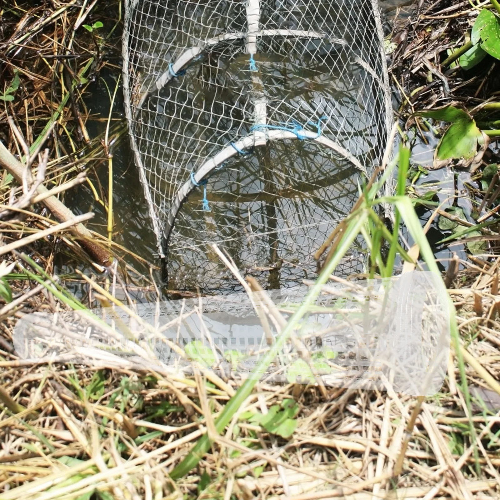 Eel Trap Fishing Cage Minnow Traps Portable White Plastic Square Catcher Reusable Crab Shrimp Netting Lobster Fish
Eel Trap Fishing Cage Minnow Traps Portable White Plastic Square Catcher Reusable Crab Shrimp Netting Lobster Fish