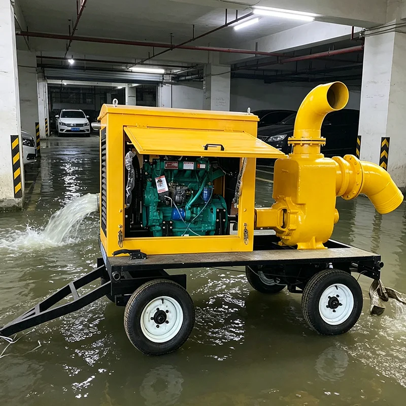 Customized Commercial Flood Drainage Pump 5HP Electric Submersible Pump for Hotel Shopping Factory Basement Flood Protection
Customized Commercial Flood Drainage Pump 5HP Electric Submersible Pump for Hotel Shopping Factory Basement Flood Protection