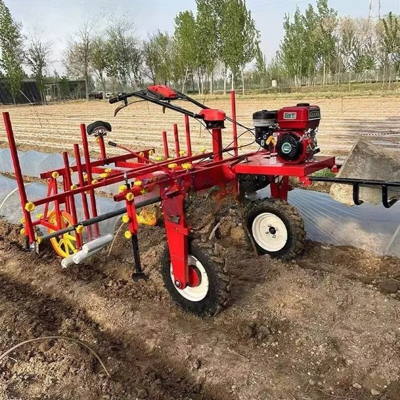 Новый дизайн сельскохозяйственной машины для укладки пластиковой пленки с высоким смывом
Новый дизайн сельскохозяйственной машины для укладки пластиковой пленки с высоким смывом