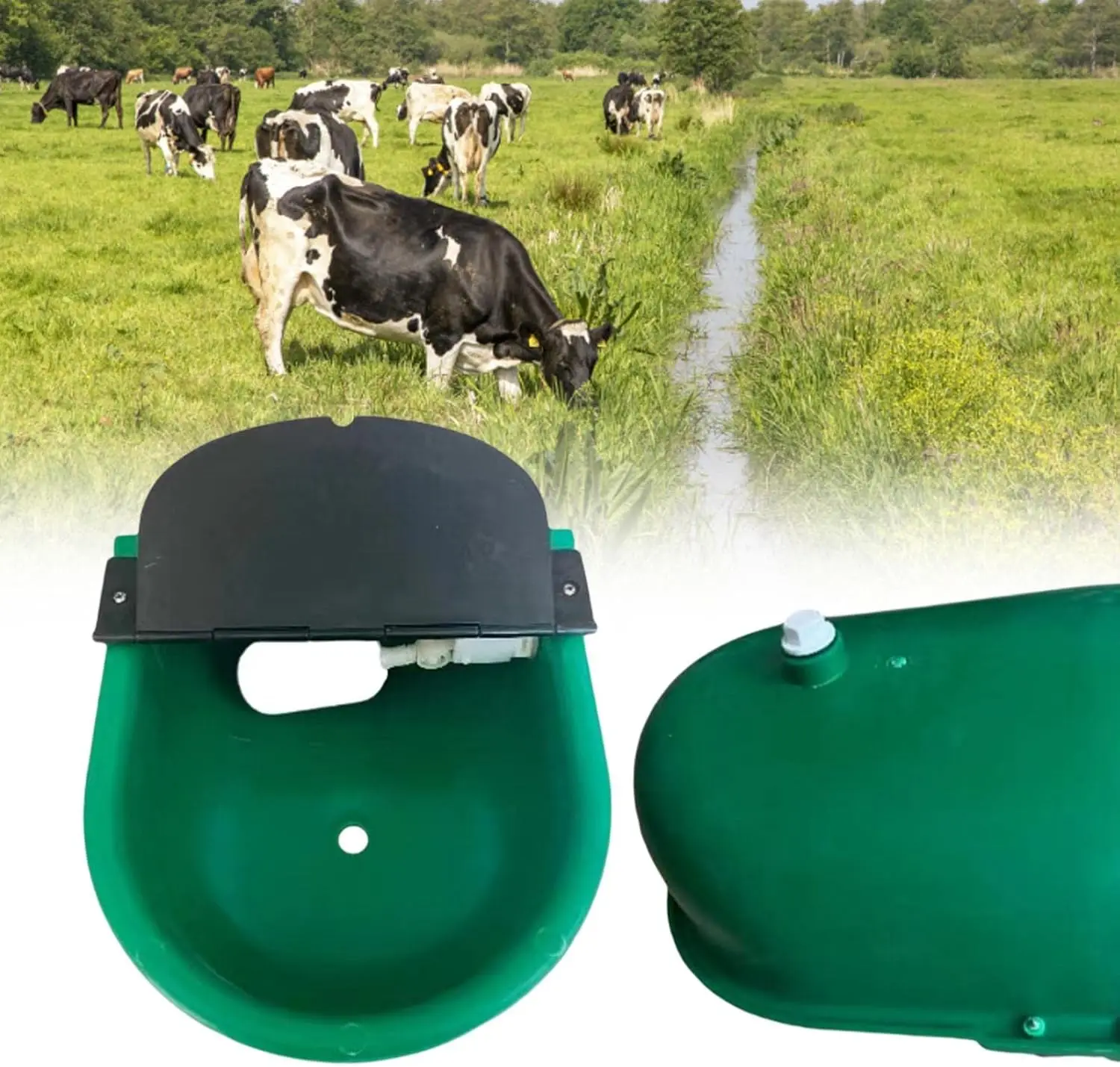 Drinkbak Koe Automatic Water Drinking Bowl Farm Animals Water Feeder Cow Drinking Tool forSheep Goats Feeding Livestock Supplies
Drinkbak Koe Automatic Water Drinking Bowl Farm Animals Water Feeder Cow Drinking Tool forSheep Goats Feeding Livestock Supplies