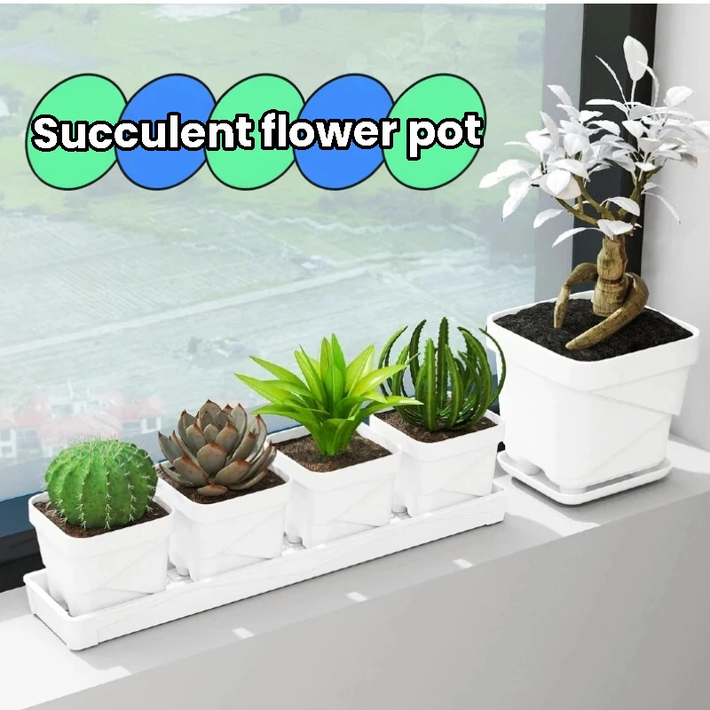 Creative Resin Succulent Pot With Tray Thickened Square Planter For Cactus Indoor Outdoor Planting Wholesale
Creative Resin Succulent Pot With Tray Thickened Square Planter For Cactus Indoor Outdoor Planting Wholesale