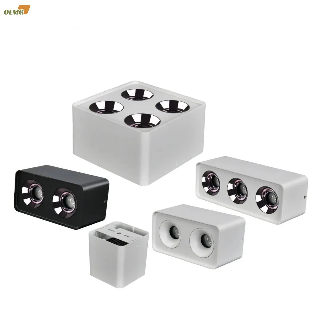 Square surface mounted LED downlight Ceiling Light 1/2/3/4/ head 7W9W12W2X9 3X9 4X9 Home living Room Lighting without main light
Square surface mounted LED downlight Ceiling Light 1/2/3/4/ head 7W9W12W2X9 3X9 4X9 Home living Room Lighting without main light