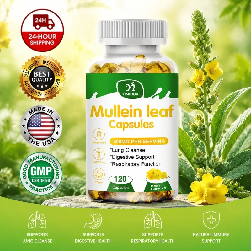 Mullein Respiratory Support with Ginger, Verbascum Thapsus, Cleanse Lungs, Relieve Cough & Promote Digestive Comfort
Mullein Respiratory Support with Ginger, Verbascum Thapsus, Cleanse Lungs, Relieve Cough & Promote Digestive Comfort