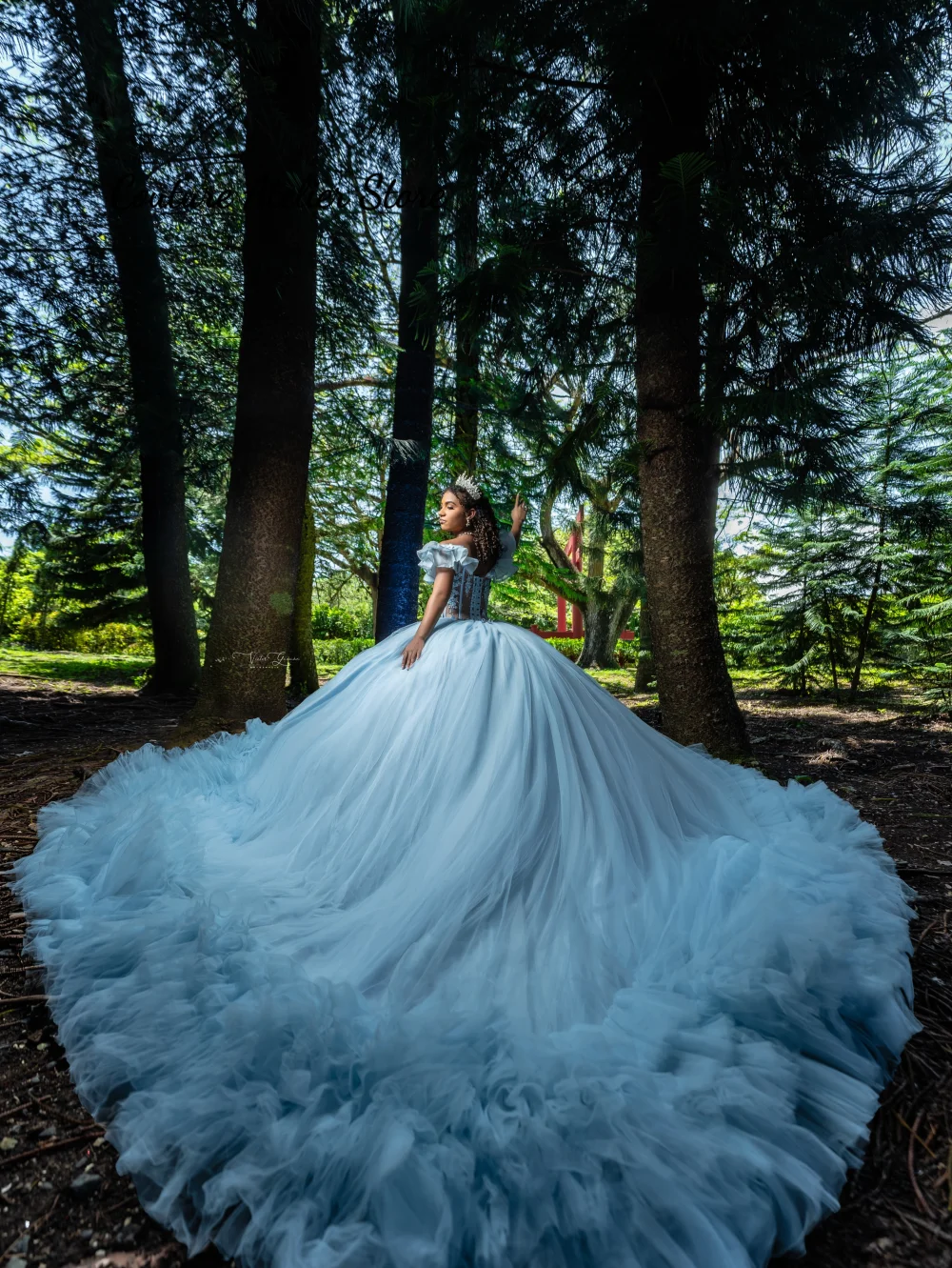 Light Blue Quinceanera Dress With Bow Off Shoulder Princess Sweet 16 Years Old Birthday Prom Party Gown Backless Customized
Light Blue Quinceanera Dress With Bow Off Shoulder Princess Sweet 16 Years Old Birthday Prom Party Gown Backless Customized