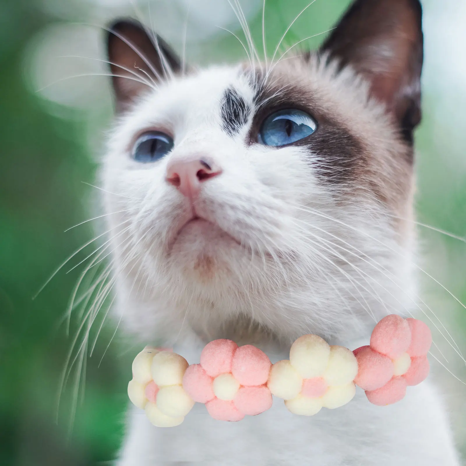 Pet Collar Dog Cat Knit Kitten Chain Necklace Adjustable Photo Prop Festival Flower-designed Long Wear Pet Accessories
Pet Collar Dog Cat Knit Kitten Chain Necklace Adjustable Photo Prop Festival Flower-designed Long Wear Pet Accessories