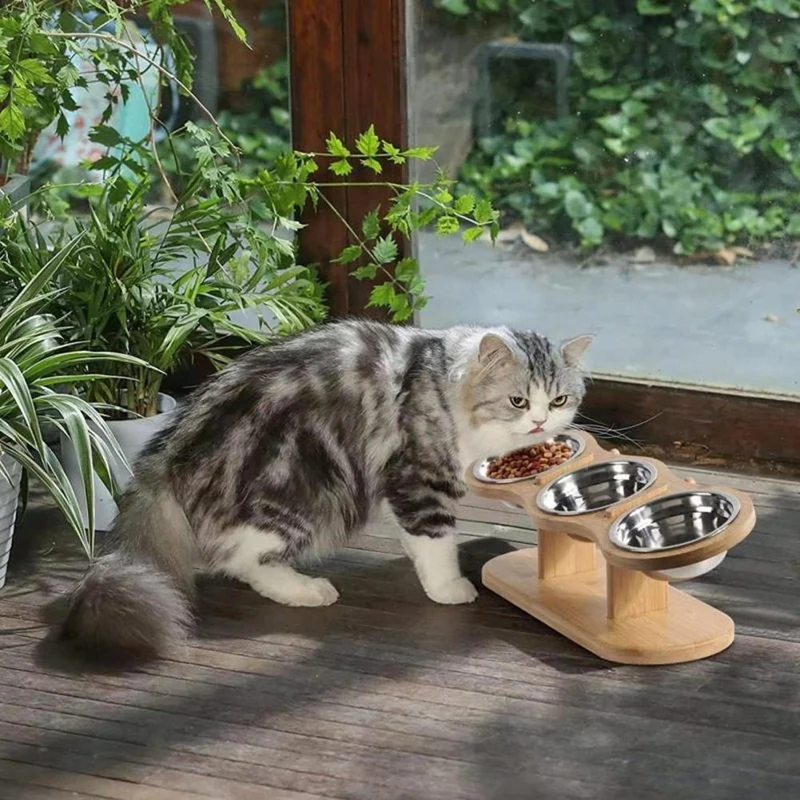 Elevated Cat Bowls With 3 Stainless Steel Bowls Elevated Cat Bowls For Food And Water 15 Degree Tilted Elevated Pet Bowl
Elevated Cat Bowls With 3 Stainless Steel Bowls Elevated Cat Bowls For Food And Water 15 Degree Tilted Elevated Pet Bowl