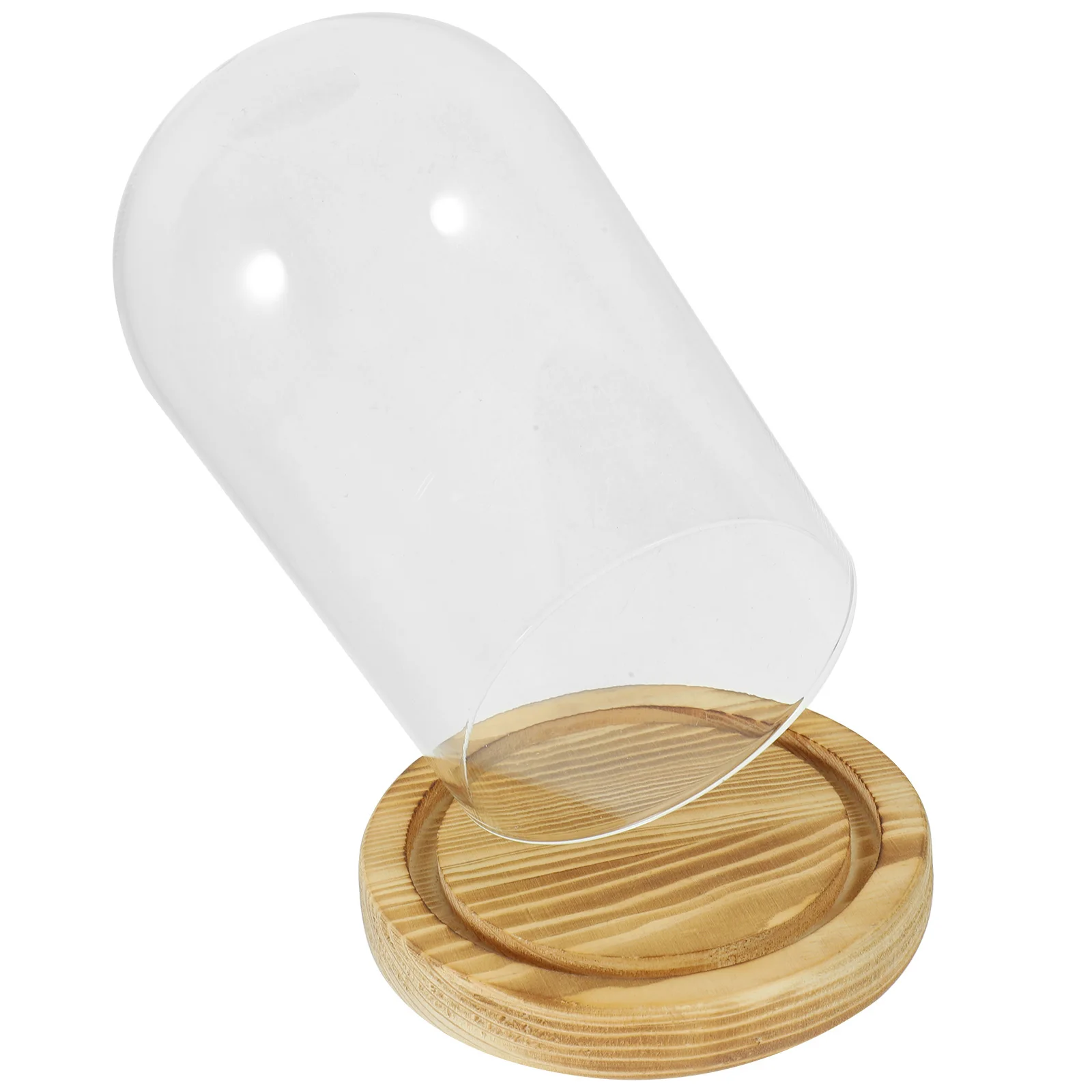 Glass Cover Base 9x15cm Floral Display Dome Transparent Showcase Wood Bottom Dried Flower Glass Cloche Storage Bottle Container
Glass Cover Base 9x15cm Floral Display Dome Transparent Showcase Wood Bottom Dried Flower Glass Cloche Storage Bottle Container