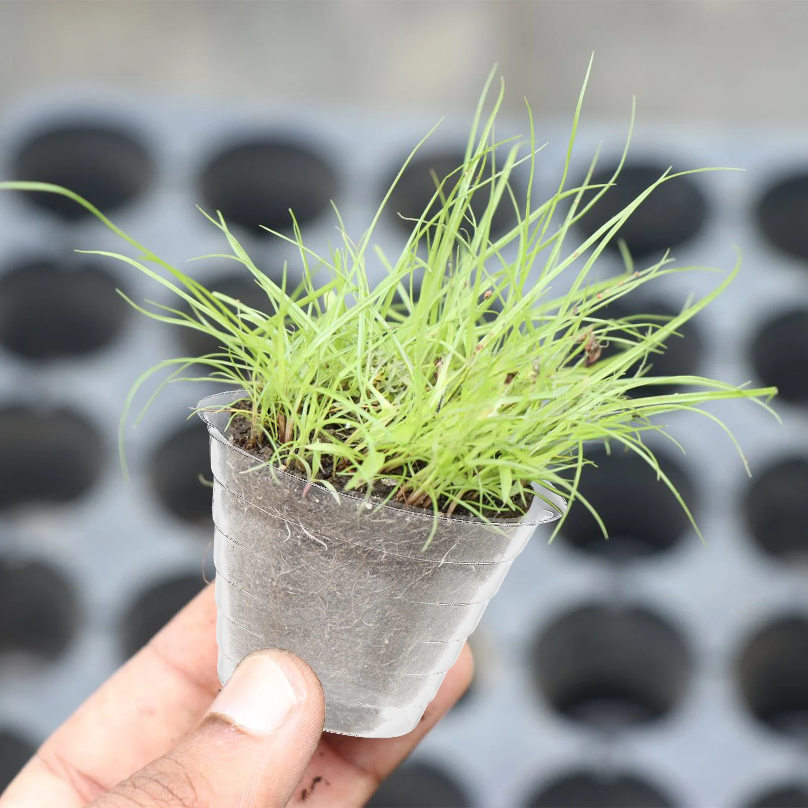 15Pcs Clear Planter Liners Plastic Nursery Pots Protective Water Catcher Tray Hanging Basket Liners Planter Drip Trays
15Pcs Clear Planter Liners Plastic Nursery Pots Protective Water Catcher Tray Hanging Basket Liners Planter Drip Trays