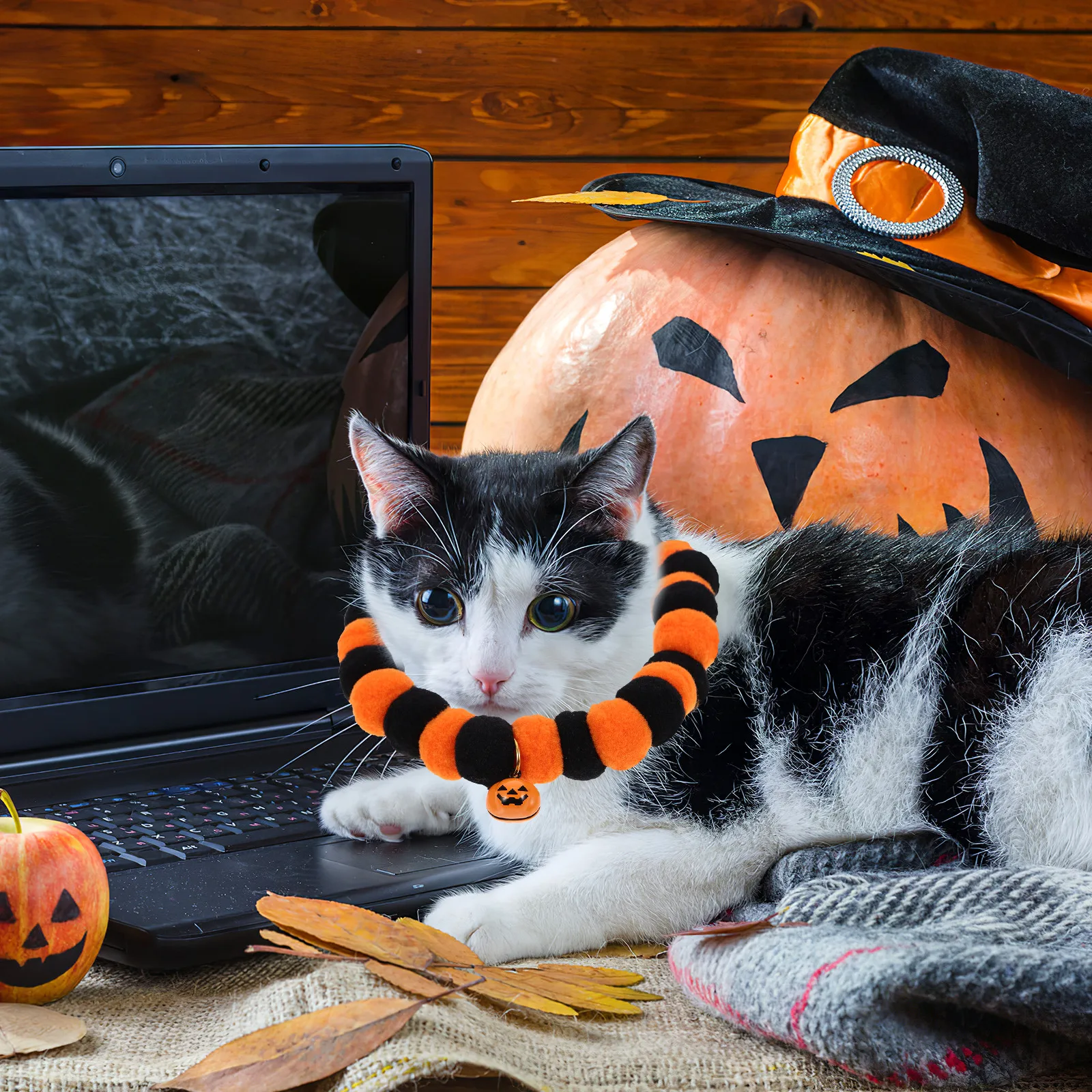 2 Pcs Kitten Collars Pet Pumpkin Bell Necklace Halloween Party Cat Decorate Adorable
2 Pcs Kitten Collars Pet Pumpkin Bell Necklace Halloween Party Cat Decorate Adorable