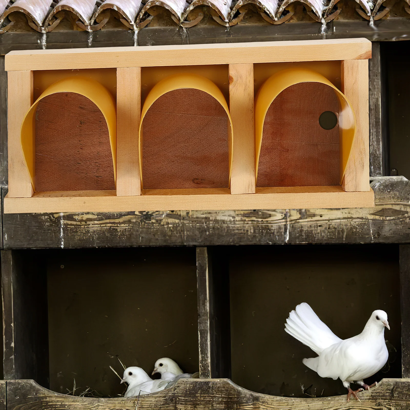 For Racing Coop Durable Supplies Pigeon Dove Door For Bird Cage Entrance Trap Pigeon Cage Accessories Trap Door
For Racing Coop Durable Supplies Pigeon Dove Door For Bird Cage Entrance Trap Pigeon Cage Accessories Trap Door