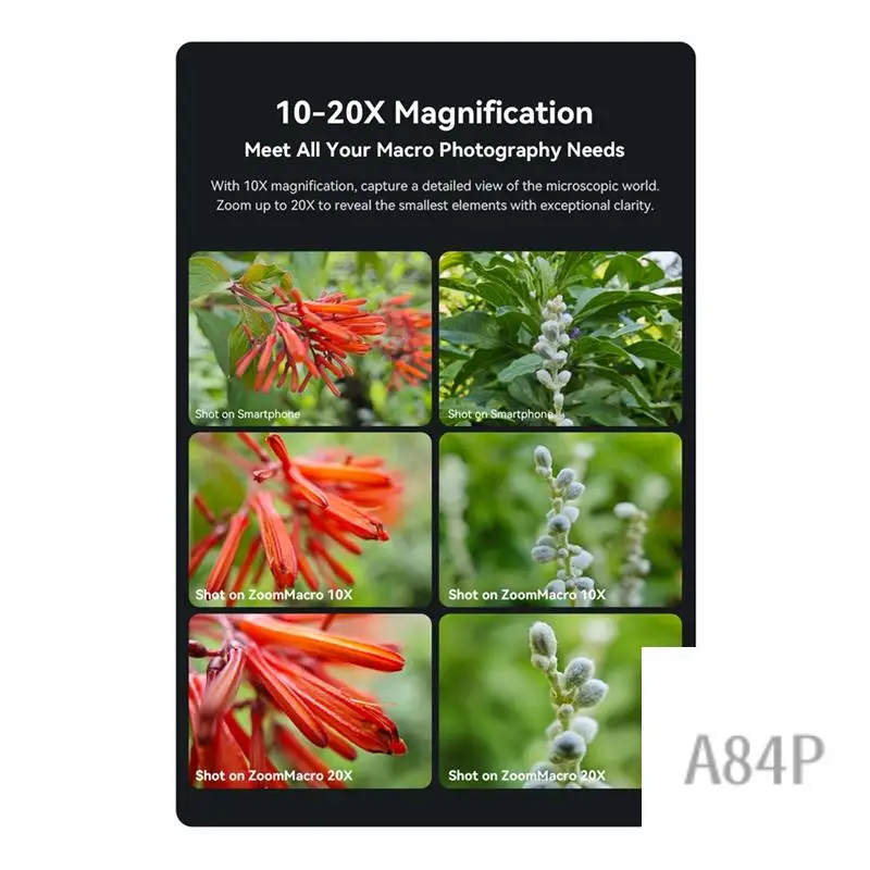 10-20X Zoom Macro Lens With LED Fill Light Universal Clamp HD Camera Lens Kit For Iphone Smartphones
10-20X Zoom Macro Lens With LED Fill Light Universal Clamp HD Camera Lens Kit For Iphone Smartphones