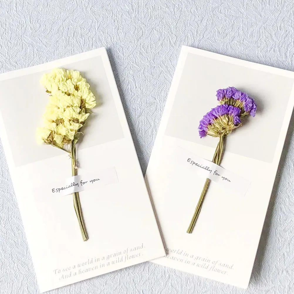 10Pcs Dried Flower Greeting Cards Eco-Friendly Birthday Party Invitation Wish Set Purple Babysbreath
10Pcs Dried Flower Greeting Cards Eco-Friendly Birthday Party Invitation Wish Set Purple Babysbreath