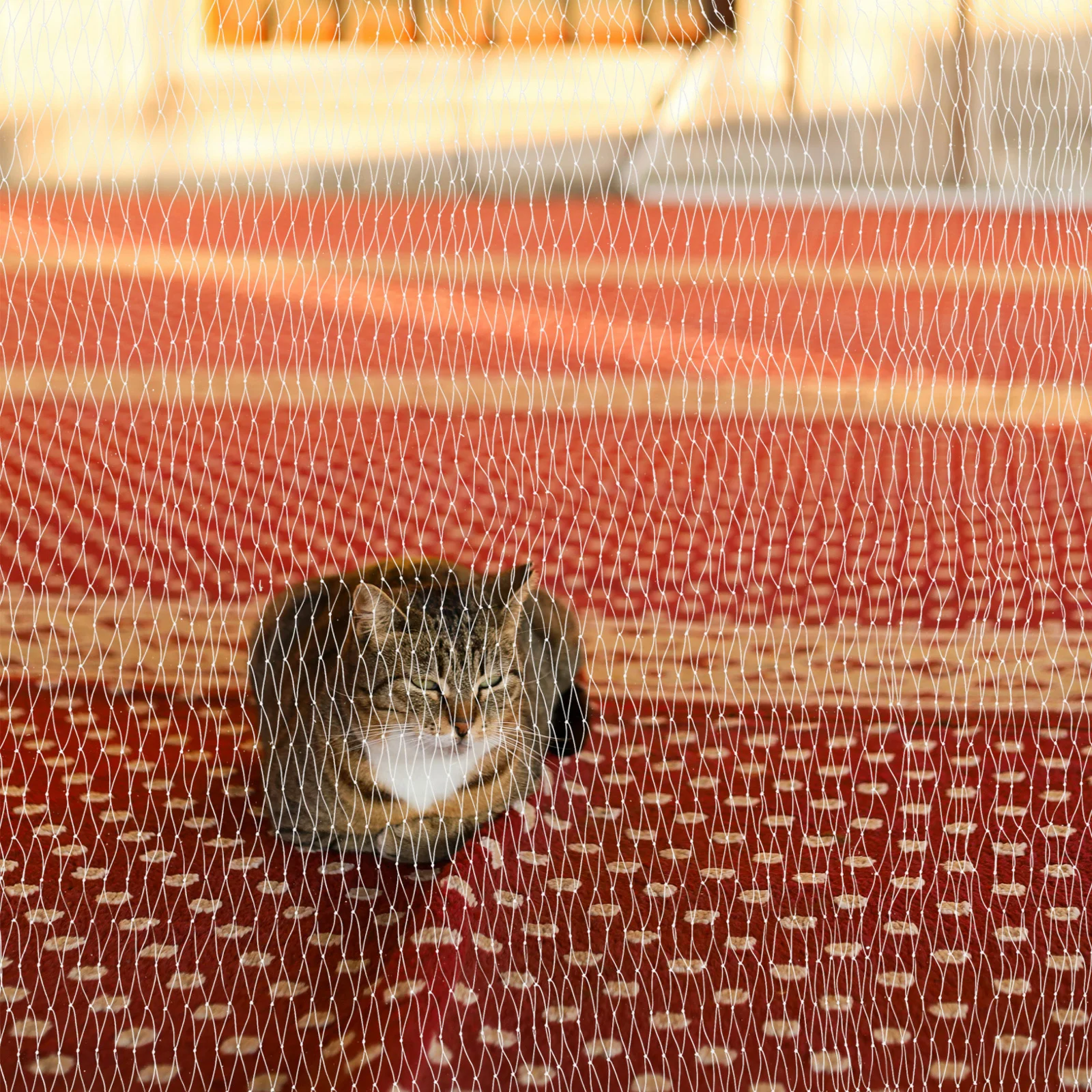 Balcony Safety Net for Dogs Cats Anti-Fall Protection Tight Mesh Pet Barrier for Balconies Windows Terraces No Drill
Balcony Safety Net for Dogs Cats Anti-Fall Protection Tight Mesh Pet Barrier for Balconies Windows Terraces No Drill