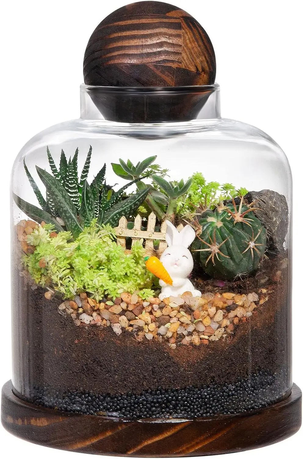 Glass Terrarium with Wood Base & Ball Lid for Succulents, Moss Balls, Fish Tank
Glass Terrarium with Wood Base & Ball Lid for Succulents, Moss Balls, Fish Tank