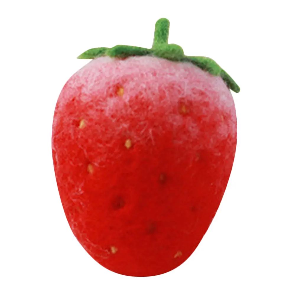 Wool Felt Kit Lightweight Needle Fruit Felt Stitching Tools Tools Premium Diy Needle Felting Material Materials Gifts Kids
Wool Felt Kit Lightweight Needle Fruit Felt Stitching Tools Tools Premium Diy Needle Felting Material Materials Gifts Kids