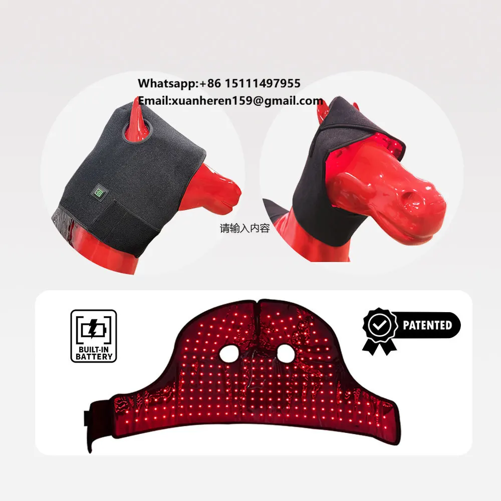 Built-In Battery Red Light Therapy Set for Horse Care Equine Cryo Therapy Blaster for Leg Hoof Head EUINE Horse Care Products
Built-In Battery Red Light Therapy Set for Horse Care Equine Cryo Therapy Blaster for Leg Hoof Head EUINE Horse Care Products