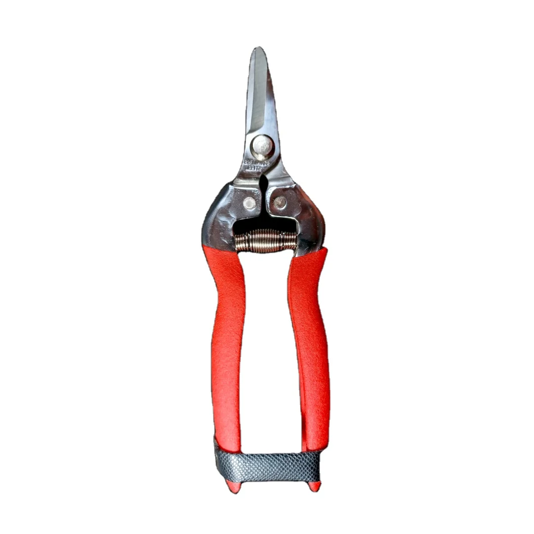 Industrial Grade Bypass Fruit Picking Shears Aluminum Alloy Blade Hard Chrome Finish Laser Logo Anti-Slip Grip Long
Industrial Grade Bypass Fruit Picking Shears Aluminum Alloy Blade Hard Chrome Finish Laser Logo Anti-Slip Grip Long