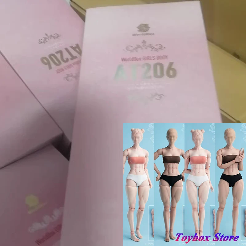 Pale Light Tan Muscular Version 1/6 Fitness Sports Female Soldier Movable Body Worldbox AT206 Model For 12" Action Figure Decor
Pale Light Tan Muscular Version 1/6 Fitness Sports Female Soldier Movable Body Worldbox AT206 Model For 12" Action Figure Decor