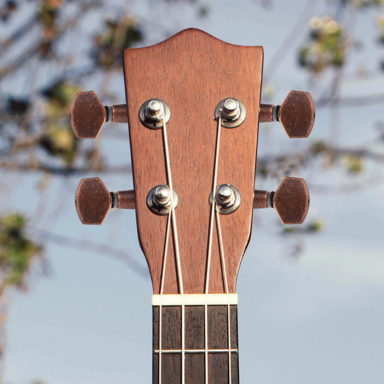 Sealed Guitar Tuners 6R Small Square Head Machine Heads For Acoustic Electric Guitar Replacement Coffee Color
Sealed Guitar Tuners 6R Small Square Head Machine Heads For Acoustic Electric Guitar Replacement Coffee Color