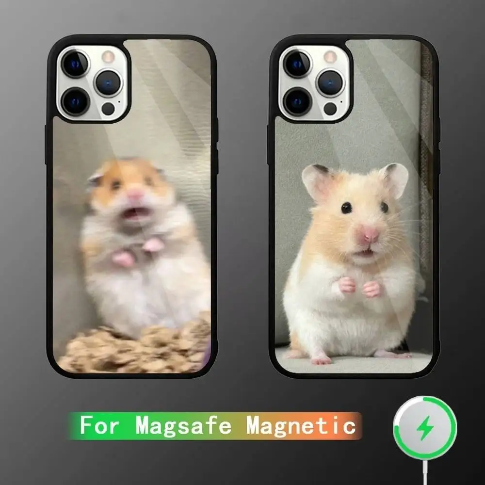Cartoon Hamster Phone Case For iPhone 17,16,15,14,13,12,11,Pro,Max,Plus,Mini,SE4,E Magnetic Magsafe Wireless Charging
Cartoon Hamster Phone Case For iPhone 17,16,15,14,13,12,11,Pro,Max,Plus,Mini,SE4,E Magnetic Magsafe Wireless Charging