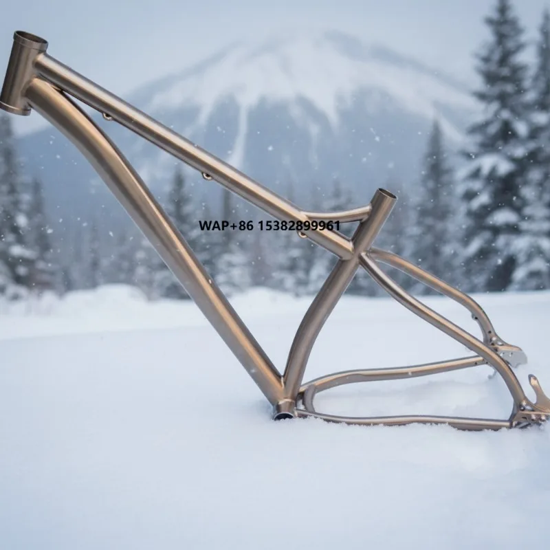 Truss Waltly News 26" Titanium Fat Bike Frame
Truss Waltly News 26" Titanium Fat Bike Frame