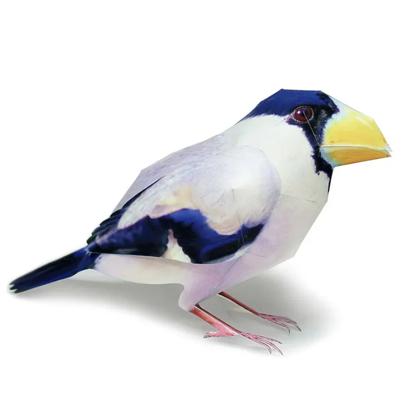 Grosbeak Bird Origami художественная бумажная модель реалистичное животное мини милое 3D рукоделие DIY дети и взрослые ремесленные игрушки WE-026
Grosbeak Bird Origami художественная бумажная модель реалистичное животное мини милое 3D рукоделие DIY дети и взрослые ремесленные игрушки WE-026