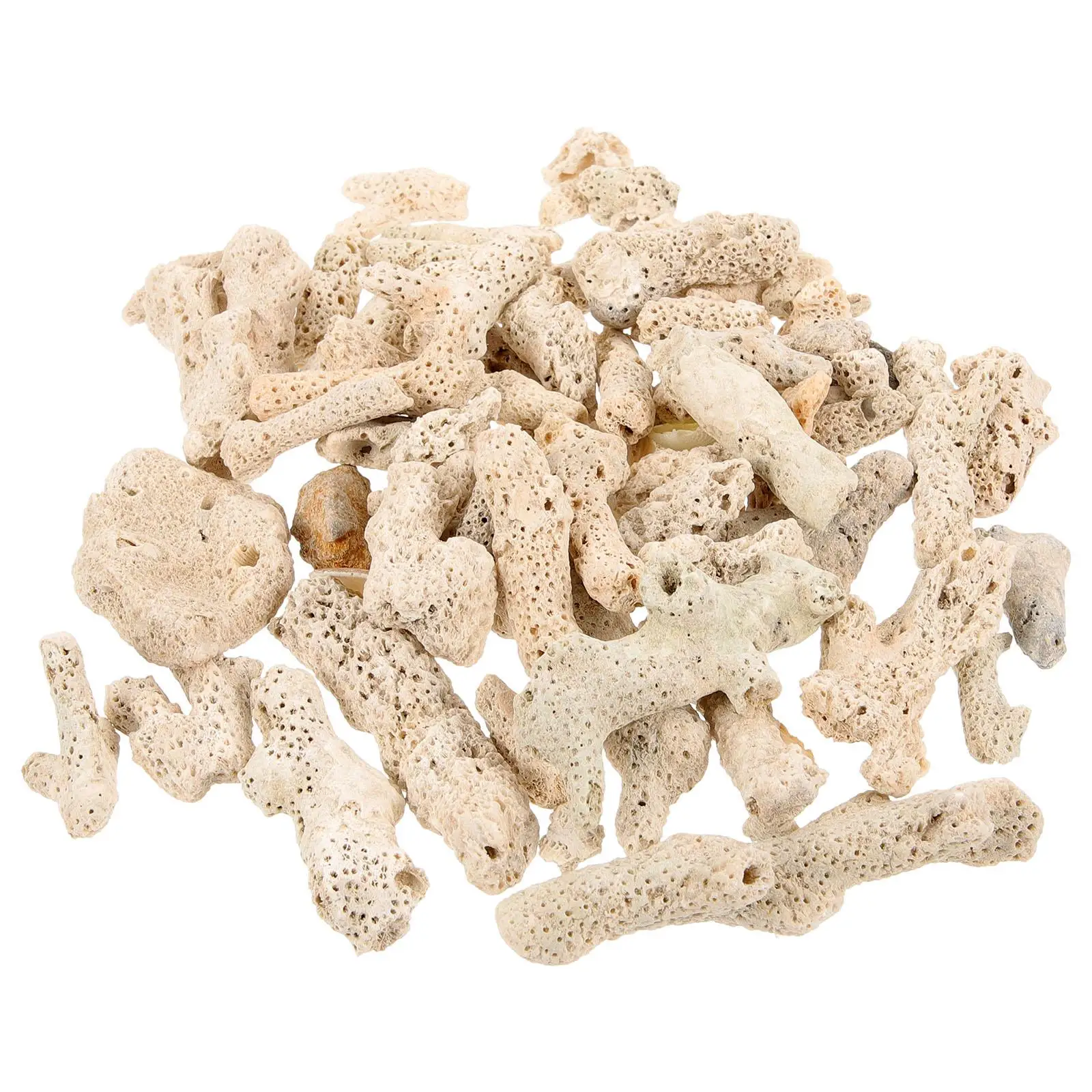 Filter Media for Aquarium Coral Bone Sand Fish Tank Accessories Ordinary Natural Crushed
Filter Media for Aquarium Coral Bone Sand Fish Tank Accessories Ordinary Natural Crushed