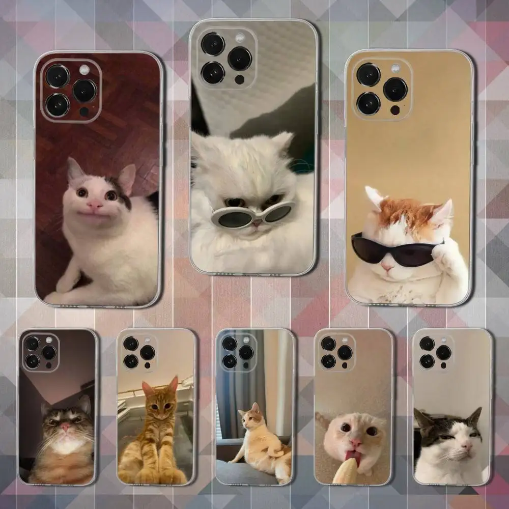 Funny Memes Cat Phone Case For iPhone 16,15,14,13,12,11 Pro,Max,Plus,X,XS,XR,SE,Mini Transparent Soft Cover
Funny Memes Cat Phone Case For iPhone 16,15,14,13,12,11 Pro,Max,Plus,X,XS,XR,SE,Mini Transparent Soft Cover