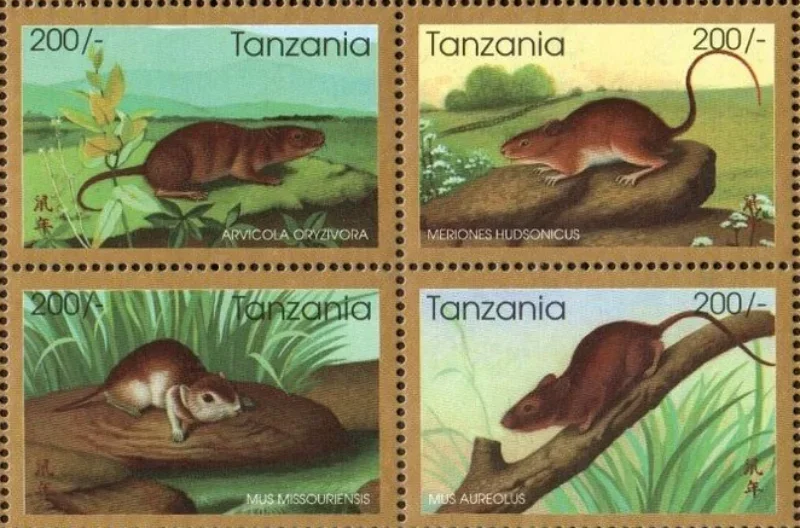 4 шт., штамп Танзании Почта, 1996, мышь, штамп животного, настоящий оригинал, коллекция штампов
4 шт., штамп Танзании Почта, 1996, мышь, штамп животного, настоящий оригинал, коллекция штампов