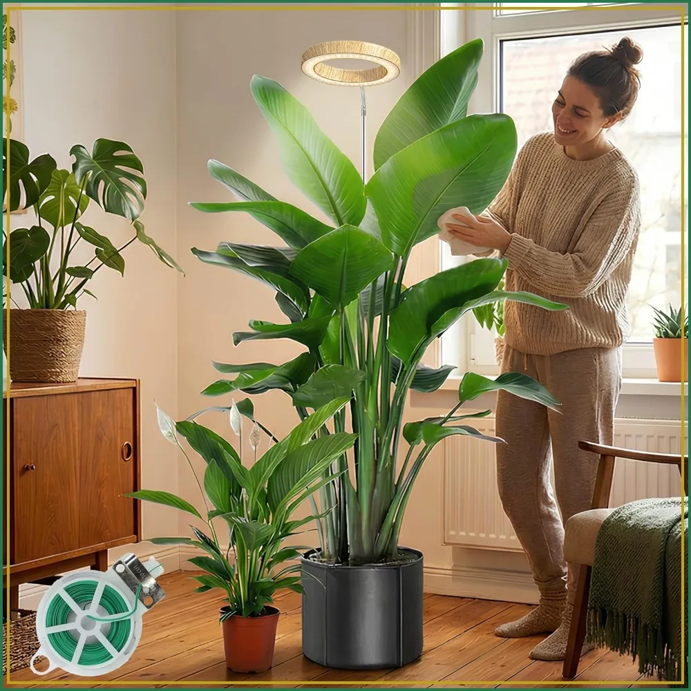 Full Spectrum LED Grow Light, 6.3" Wood Grain, 9.8-65in Adjustable, Auto Timer 3/9/12H, 10 Dimmable Levels
Full Spectrum LED Grow Light, 6.3" Wood Grain, 9.8-65in Adjustable, Auto Timer 3/9/12H, 10 Dimmable Levels