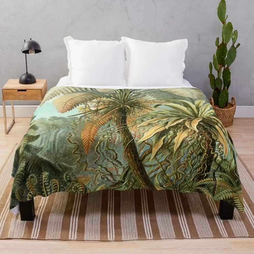 Vintage Tropical Palm Illustration Painting Artwork Throw Blanket Decorative Soft Throw Blanket for Couch Sofa
Vintage Tropical Palm Illustration Painting Artwork Throw Blanket Decorative Soft Throw Blanket for Couch Sofa