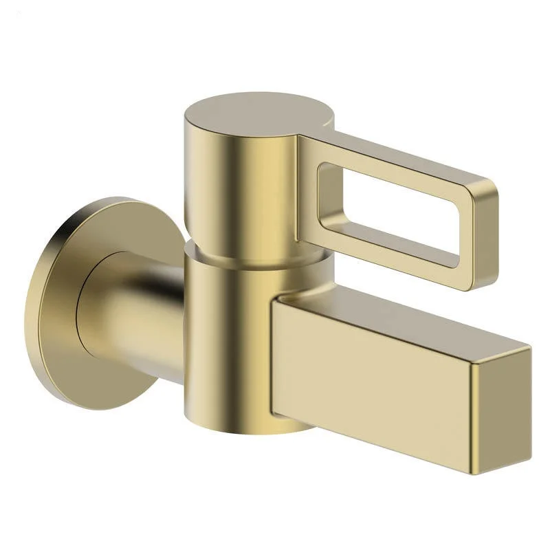 Серый уличный садовый кран для швабры, настенный, латунный, с квадратной ручкой, только для холодной воды, цвет брашированное золото, серый, новый
Серый уличный садовый кран для швабры, настенный, латунный, с квадратной ручкой, только для холодной воды, цвет брашированное золото, серый, новый