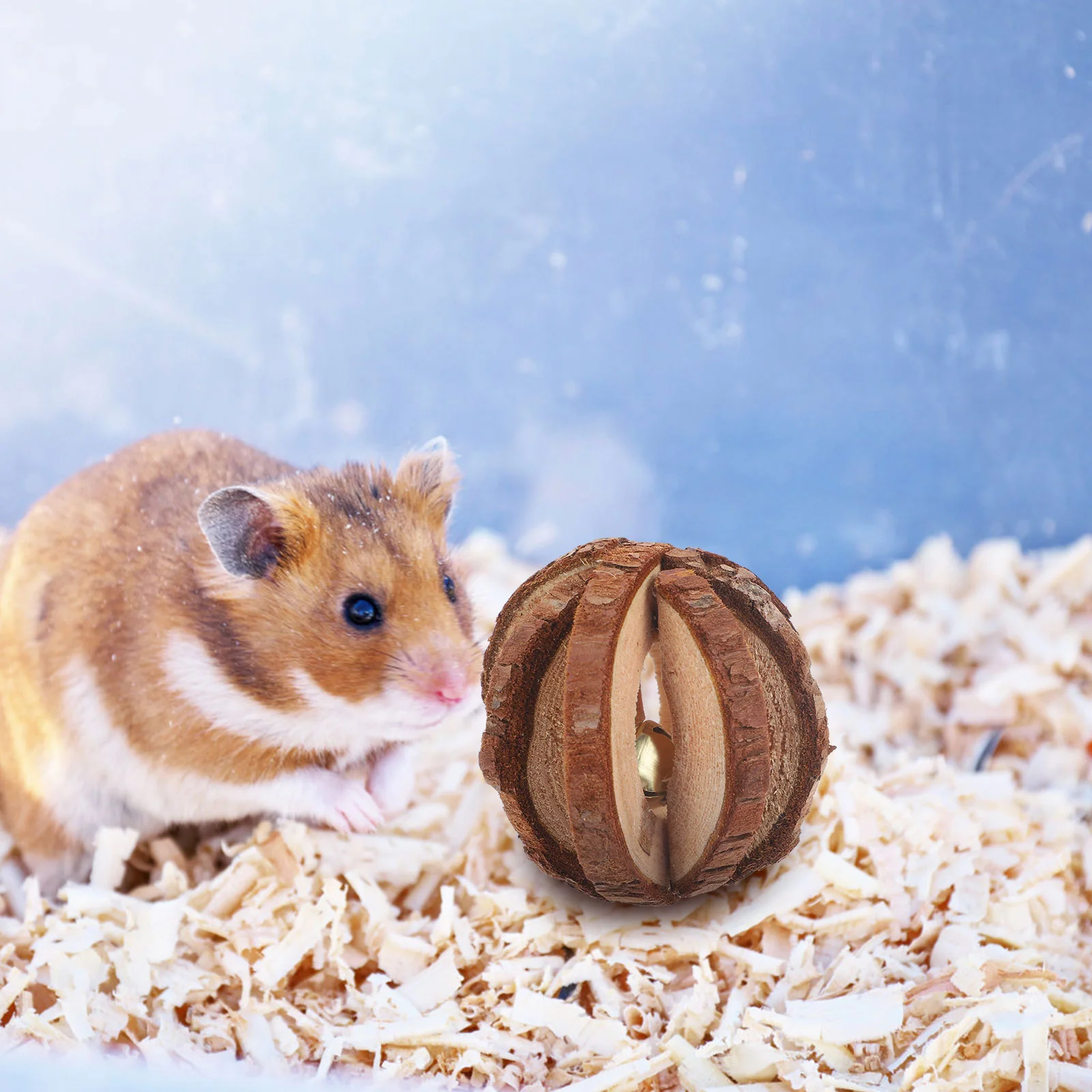 Small Animals Wooden Toy Baby Puppy Toys Chinchilla Gerbil Hamster Chew for Teeth
Small Animals Wooden Toy Baby Puppy Toys Chinchilla Gerbil Hamster Chew for Teeth