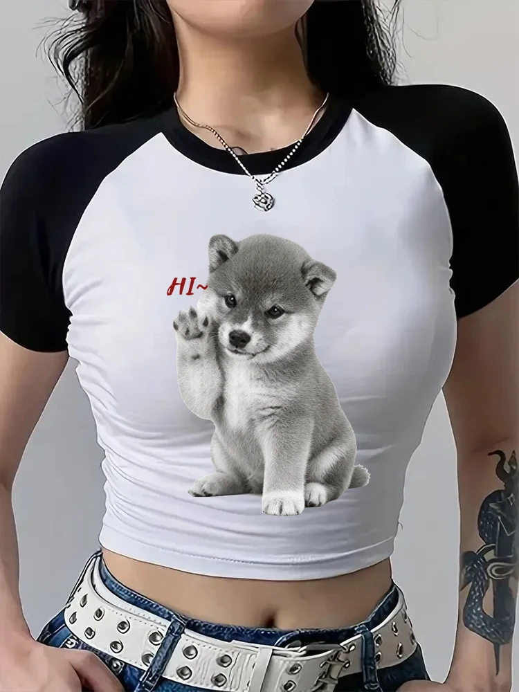 Cute Shiba Inu Dog Print T-shirt Star Women's 100% Cotton Crew Neck Short Sleeve Tees Summer Animal Lover Gifts Crop Tops
Cute Shiba Inu Dog Print T-shirt Star Women's 100% Cotton Crew Neck Short Sleeve Tees Summer Animal Lover Gifts Crop Tops