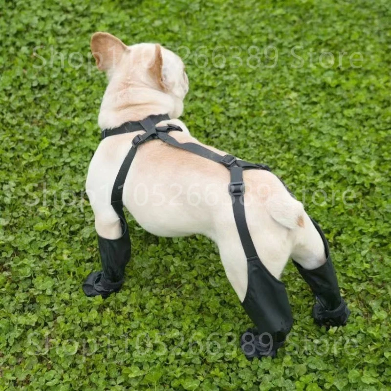 Waterproof Dog Boots Anti-Slip Dog Shoes Pet Paw Protector Dog Rain Booties Outdoor Sock Shoes for Walking Running Hiking
Waterproof Dog Boots Anti-Slip Dog Shoes Pet Paw Protector Dog Rain Booties Outdoor Sock Shoes for Walking Running Hiking