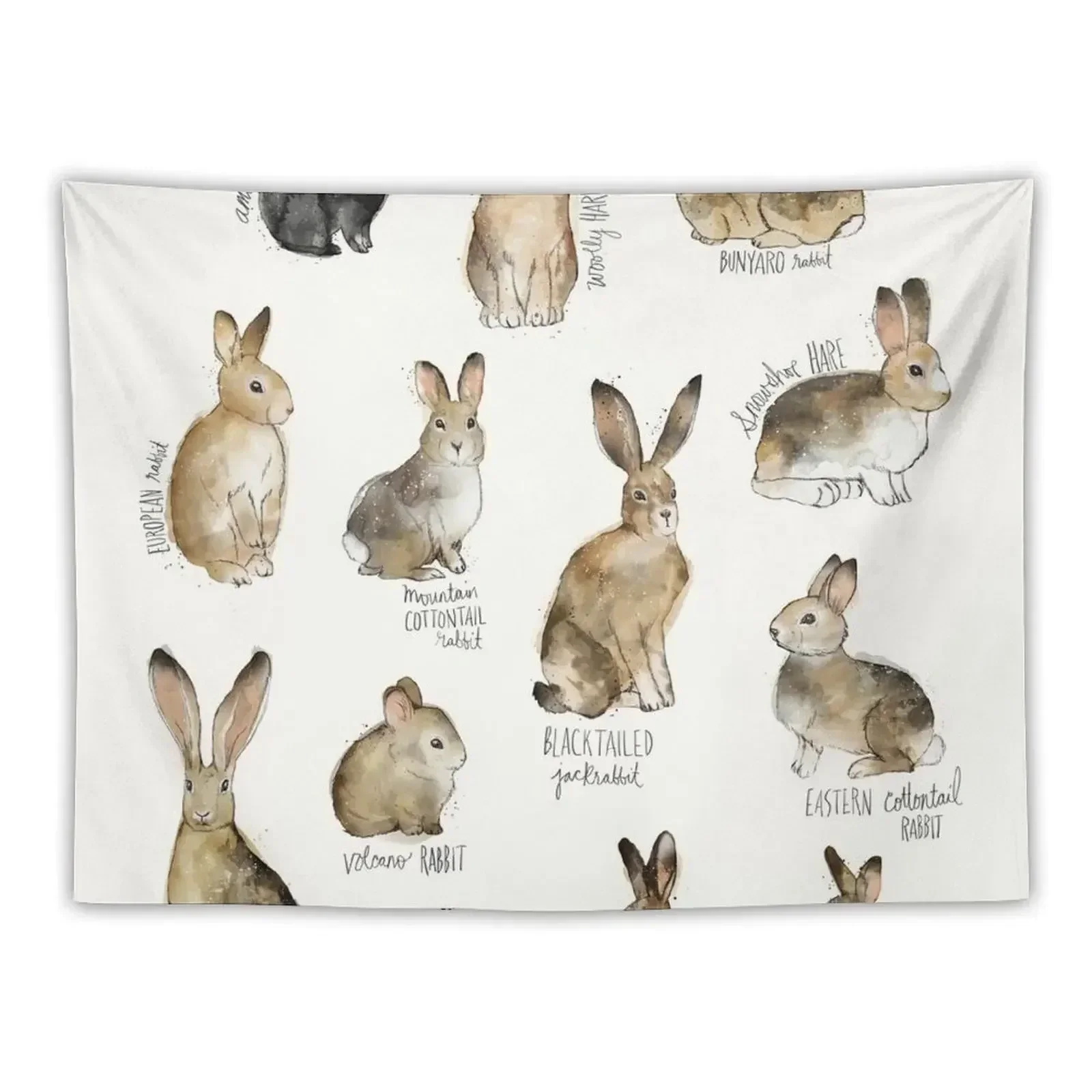 Rabbits & Hares Tapestry Decorative Wall Murals House Decorations Decorations For Your Bedroom Christmas Decoration Tapestry
Rabbits & Hares Tapestry Decorative Wall Murals House Decorations Decorations For Your Bedroom Christmas Decoration Tapestry