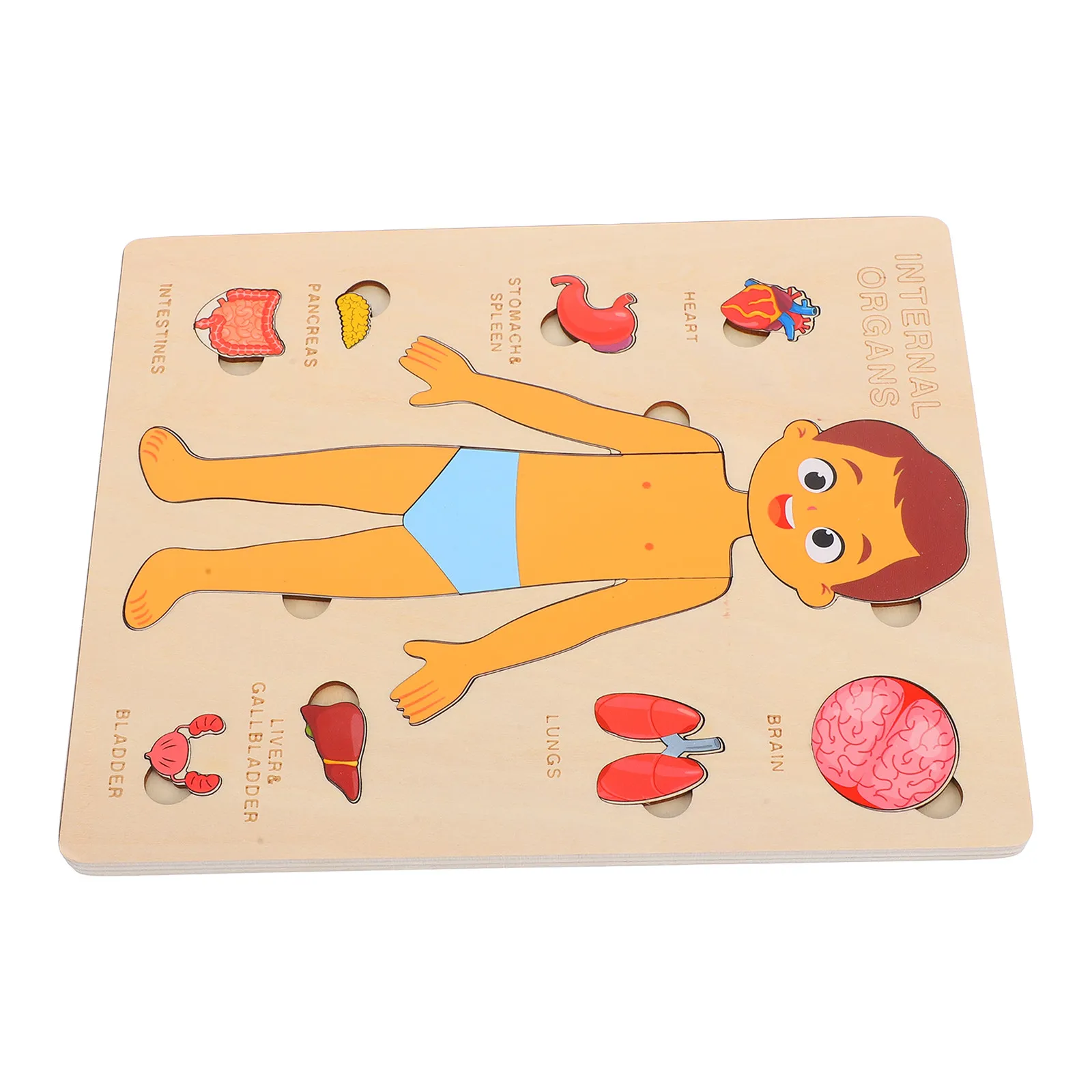 1 Set Wooden Human Body Puzzle For Kids Body Parts Learning Fine Motor Skill Development Wood Puzzles For Children Teaching Aid
1 Set Wooden Human Body Puzzle For Kids Body Parts Learning Fine Motor Skill Development Wood Puzzles For Children Teaching Aid